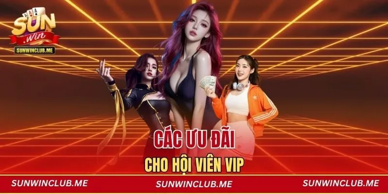 Các ưu đãi cho hội viên VIP